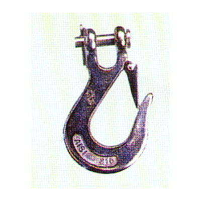 Stainless Steel Clevis Slip Hook with Latch
